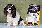 HEAVEN FORBIT DU CHATEAU NOBLESSE   exc2 ЮCC.jpg